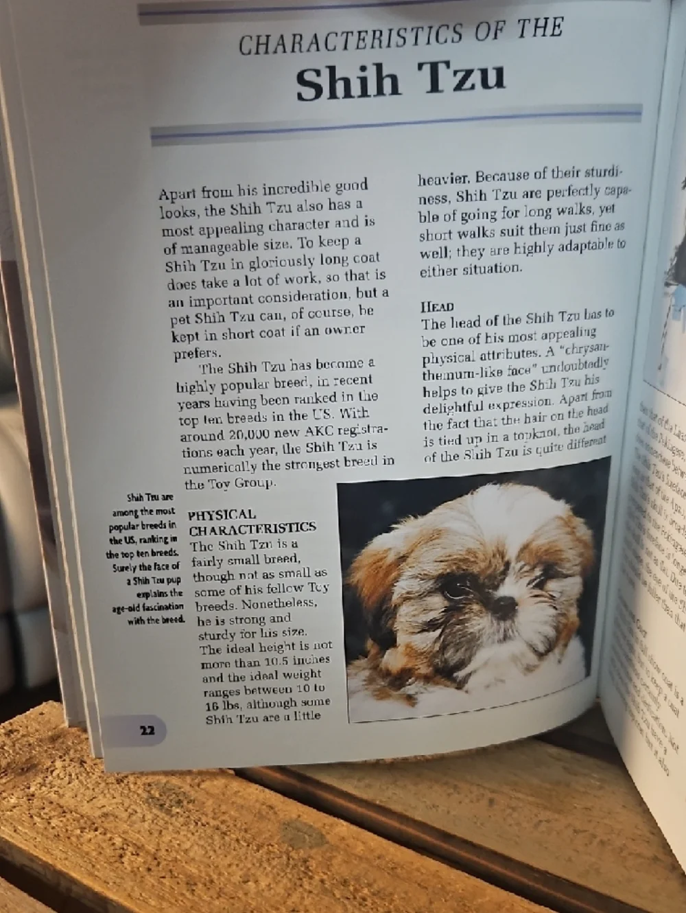 Shih Tzu Coffee Table Book - All About The Breed -